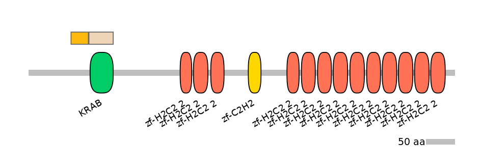 HsaINT0188045-EXC
