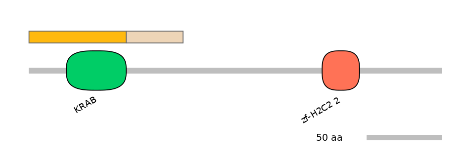 HsaINT0188126-EXC