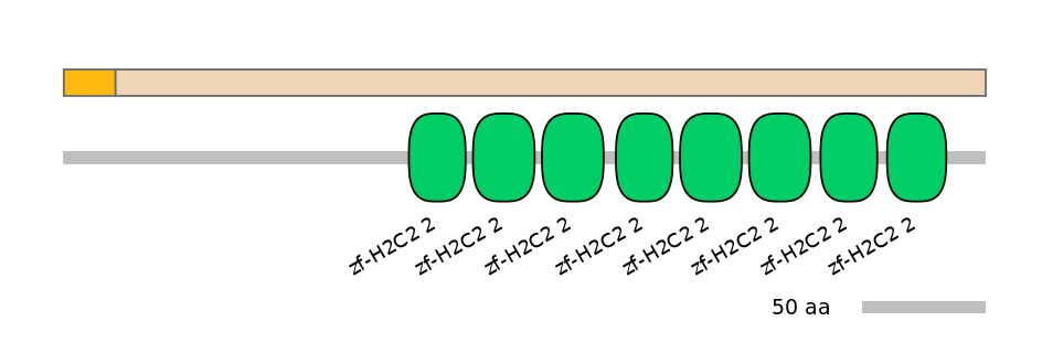 HsaINT0188150-EXC