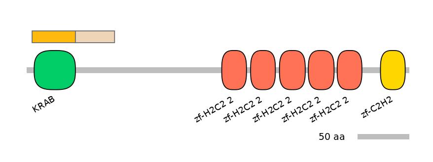 HsaINT0188196-EXC
