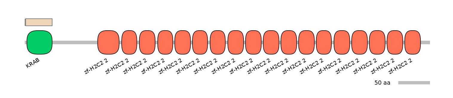 HsaINT0188204-EXC