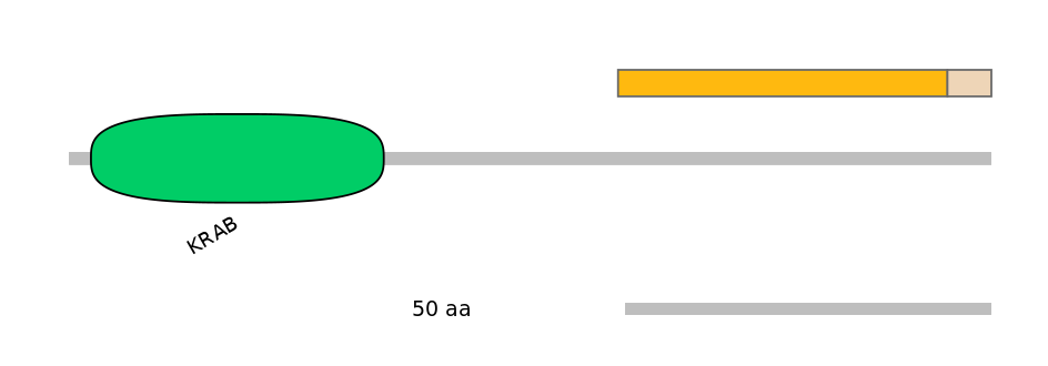 HsaINT0188239-EXC