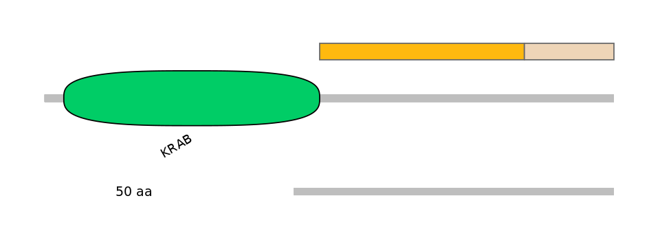 HsaINT0188244-EXC