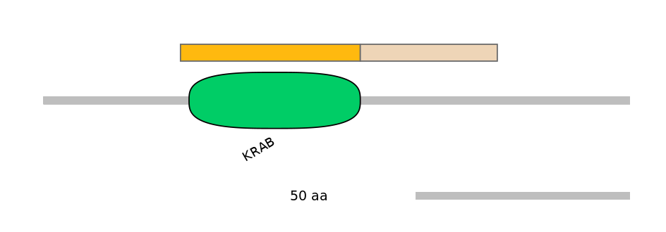 HsaINT0188262-EXC