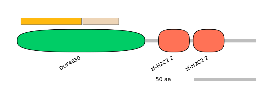 HsaINT0188271-EXC