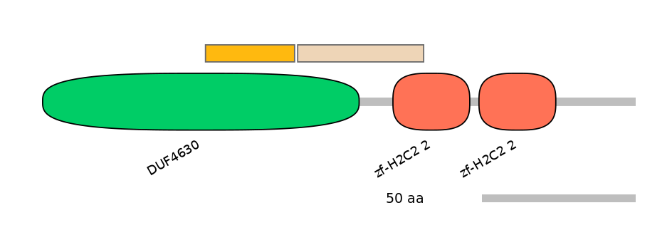 HsaINT0188272-EXC