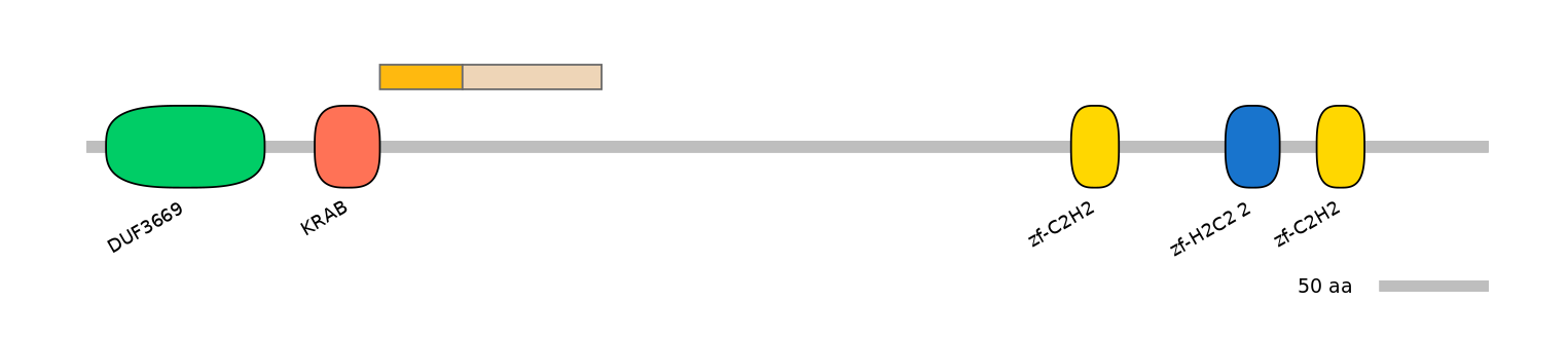 HsaINT0188279-EXC
