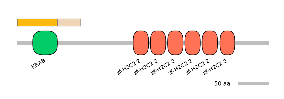 HsaINT0188318-EXC