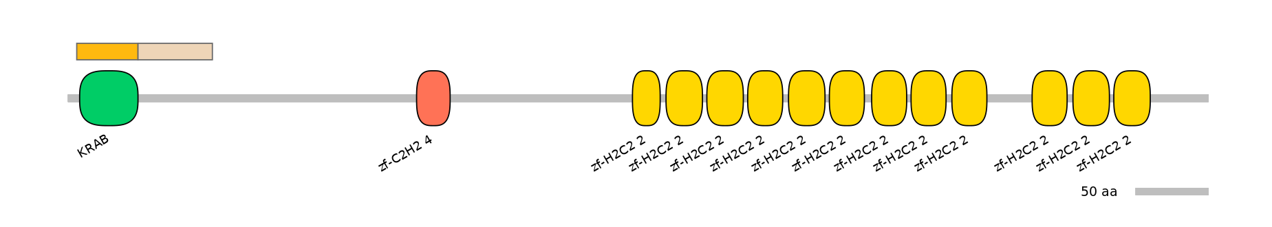 HsaINT0188398-EXC