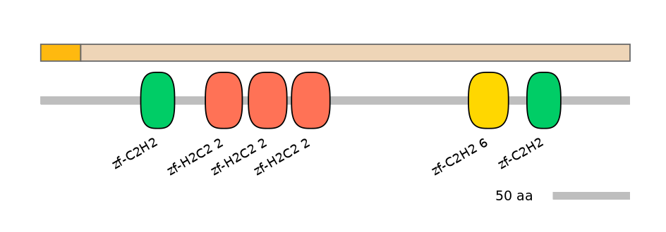 HsaINT0188401-EXC