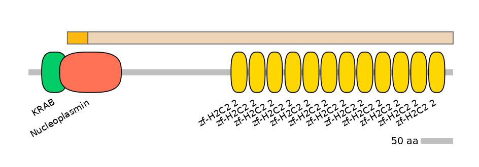 HsaINT0188458-EXC