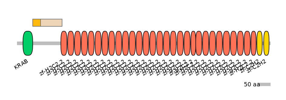 HsaINT0188610-EXC