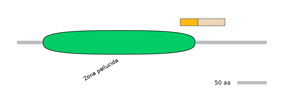 HsaINT0188697-EXC