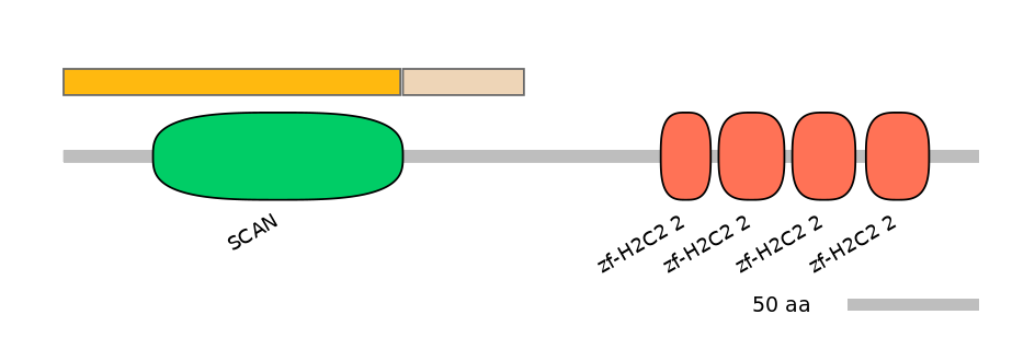 HsaINT0188799-EXC