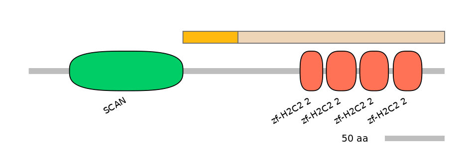 HsaINT0188800-EXC