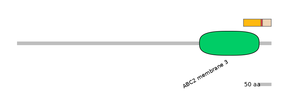 HsaALTA0000025-3_3-EXC
