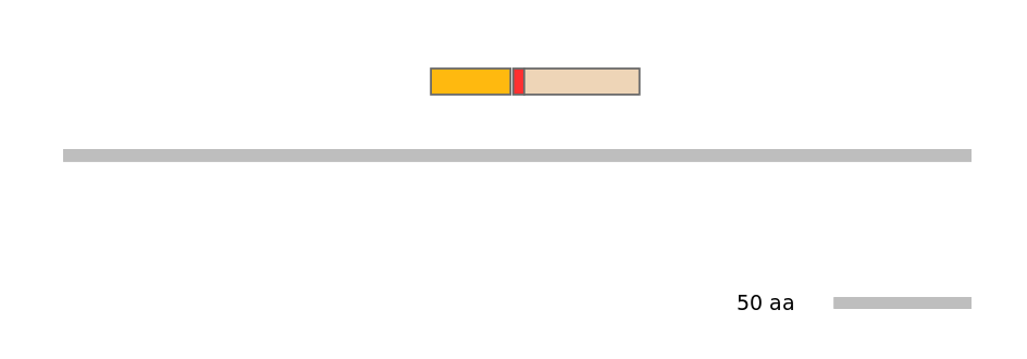 HsaALTA0001385-4_4-EXC