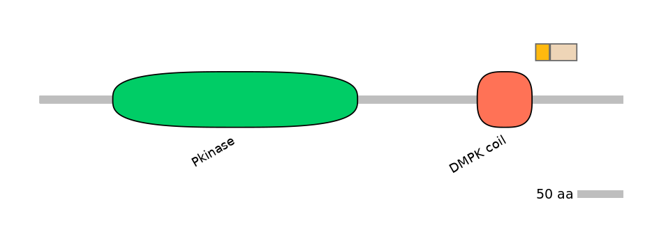 HsaALTA0002543-1_2-EXC