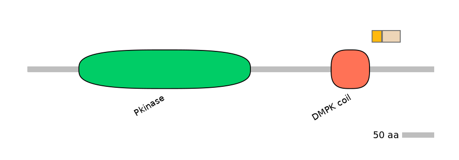 HsaALTA0002543-2_2-EXC