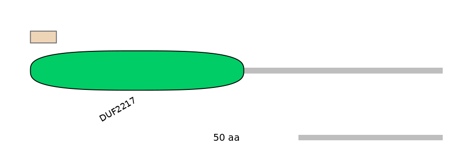 HsaALTA0003211-1_2-EXC