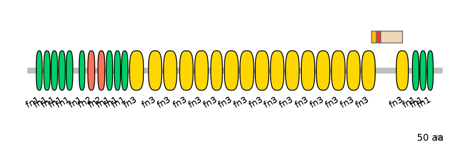 HsaALTA0003419-3_4-INC