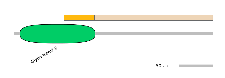 HsaALTA0003591-2_3-EXC