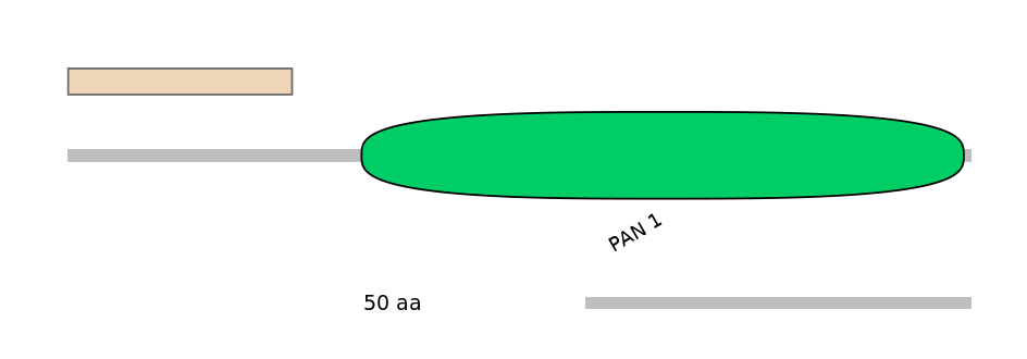 HsaALTA0003982-1_3-INC