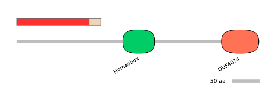 HsaALTA0004087-2_3-EXC