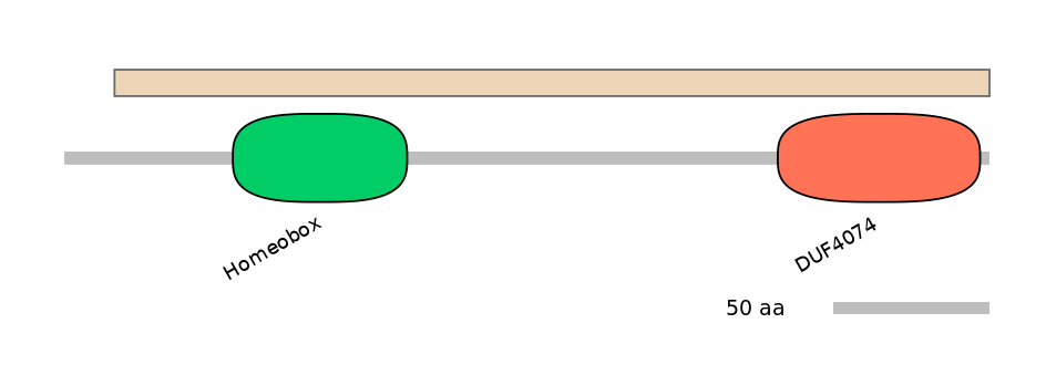 HsaALTA0004088-2_2-EXC