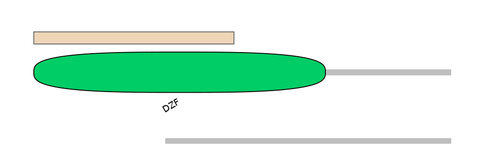 HsaALTA0004277-2_2-EXC