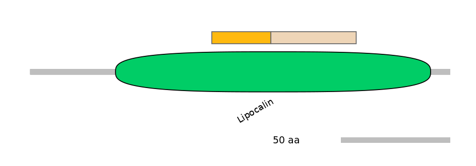 HsaALTA0004718-1_2-EXC