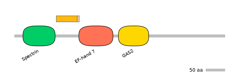 HsaALTA0004910-1_2-EXC