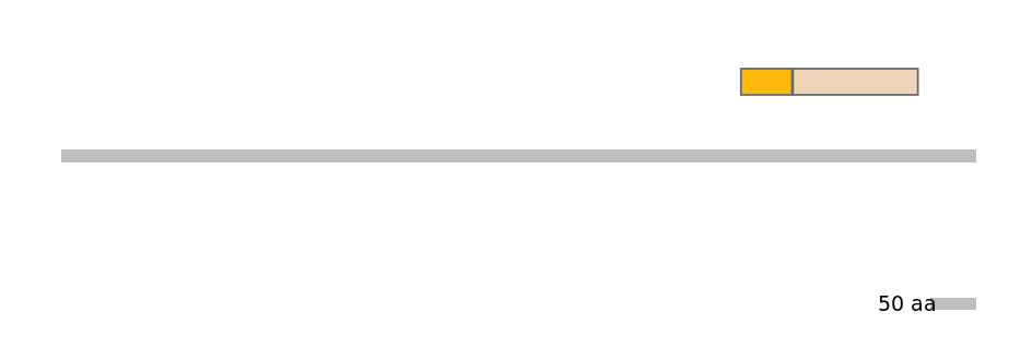 HsaALTA0005038-2_2-EXC