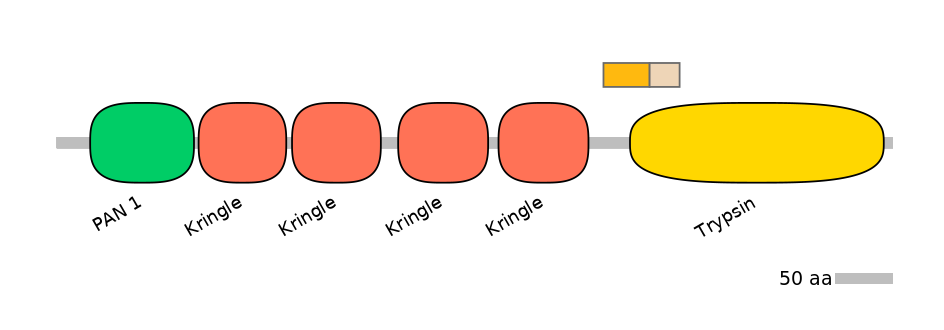 HsaALTA0005382-1_3-EXC