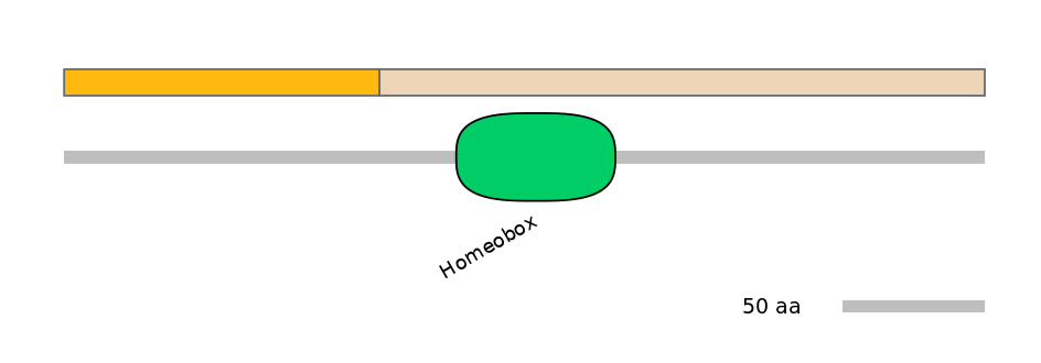 HsaALTA0005741-3_3-EXC