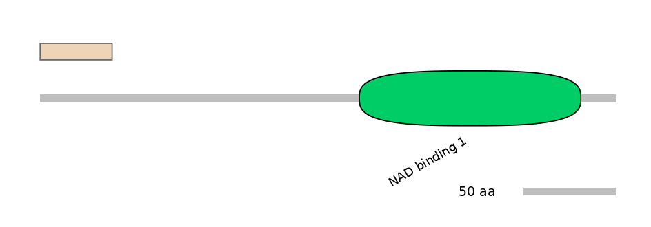 HsaALTA0006000-2_2-EXC