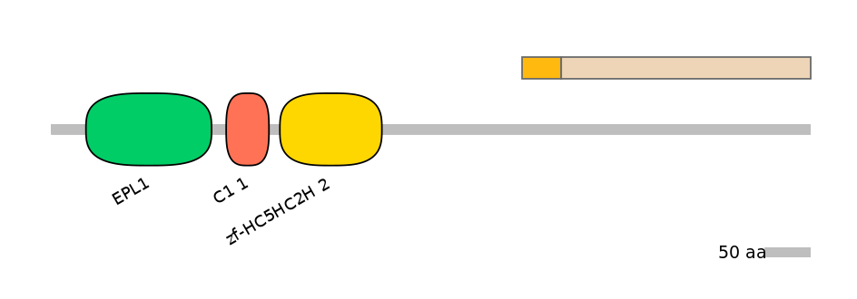 HsaALTA0006237-1_2-EXC