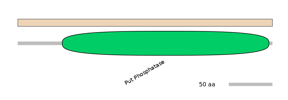 HsaALTA0006257-1_2-EXC