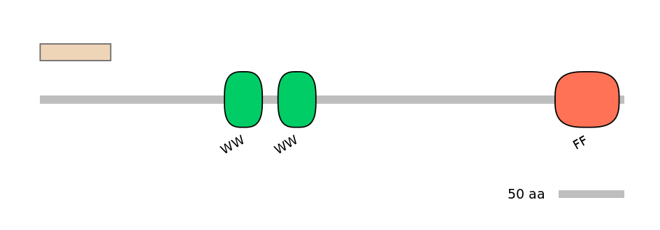 HsaALTA0006714-1_2-EXC