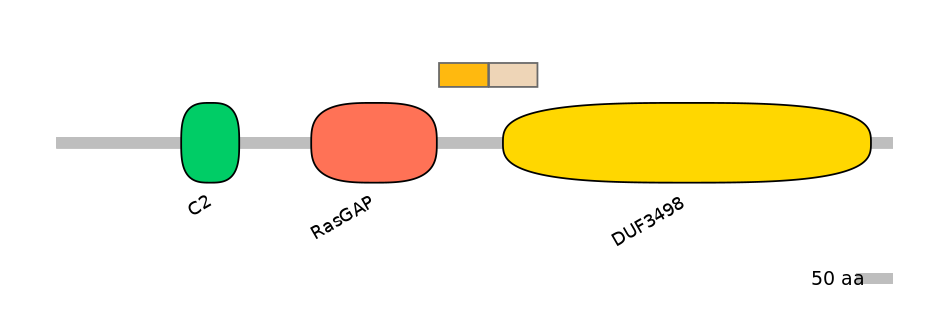 HsaALTA0007008-1_2-EXC