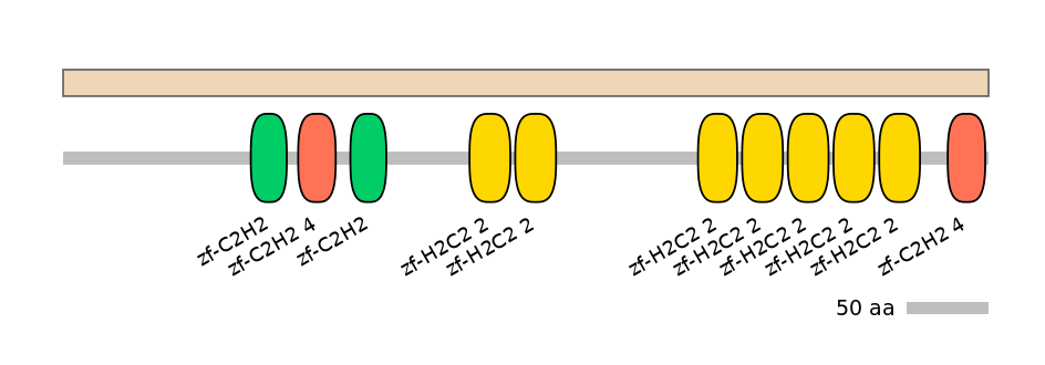 HsaALTA0007104-1_2-EXC