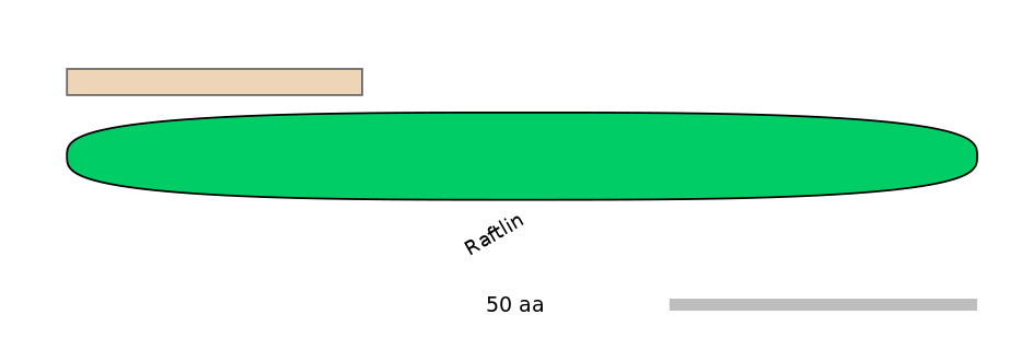 HsaALTA0007125-1_2-EXC