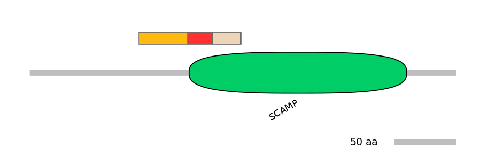 HsaALTA0007510-4_4-INC