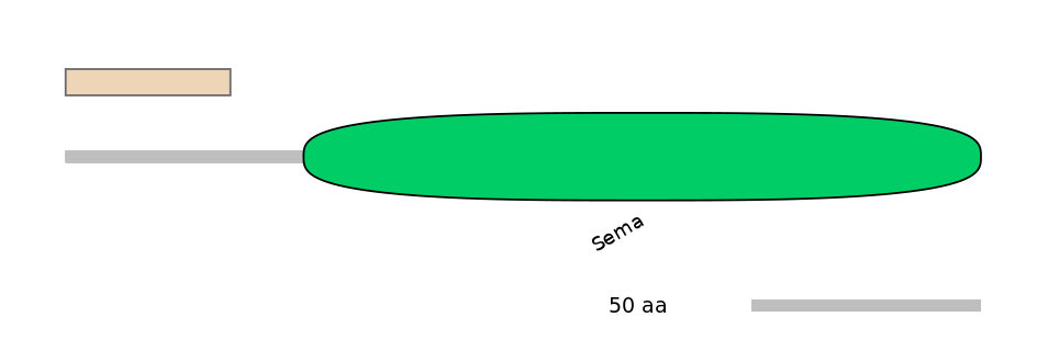 HsaALTA0007599-2_2-INC