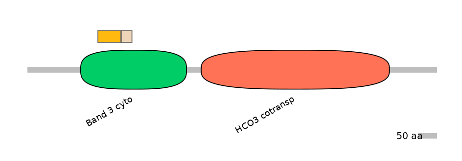 HsaALTA0007980-2_2-INC
