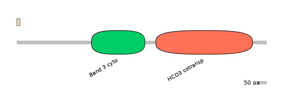 HsaALTA0007986-2_2-EXC