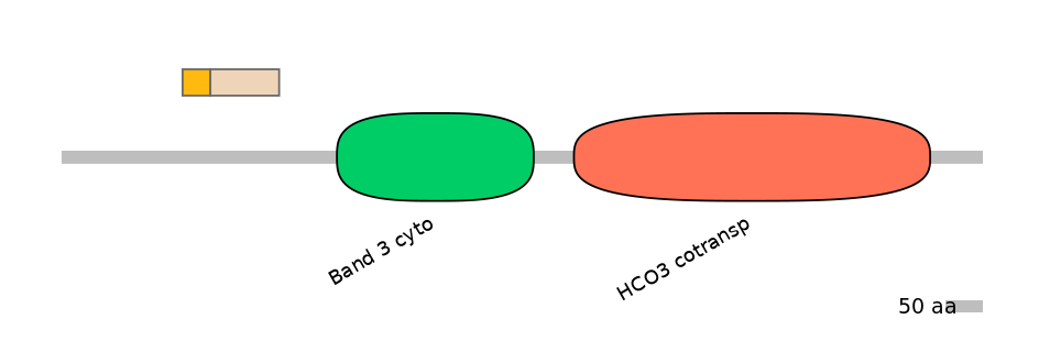 HsaALTA0007989-1_2-EXC