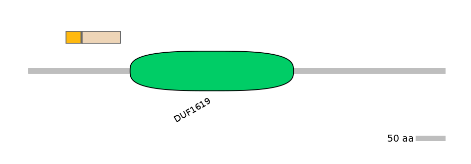 HsaALTA0008546-2_3-INC