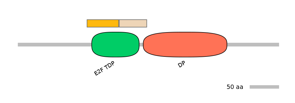 HsaALTA0008577-2_2-EXC