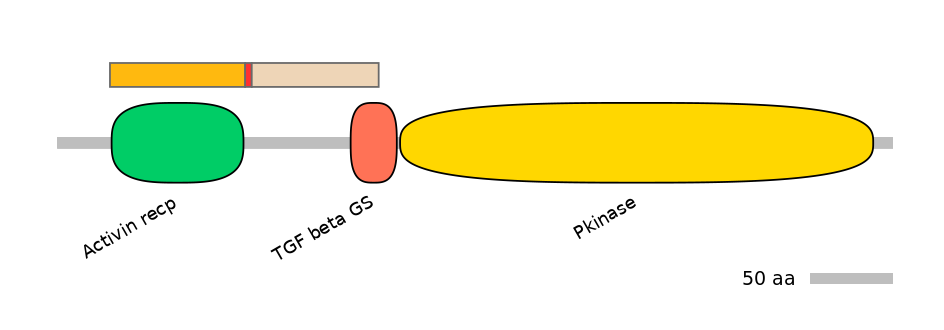 HsaALTA0008600-2_2-INC